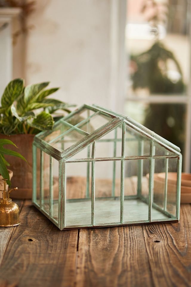 Greenhouse Verdigris Iron Terrarium #2