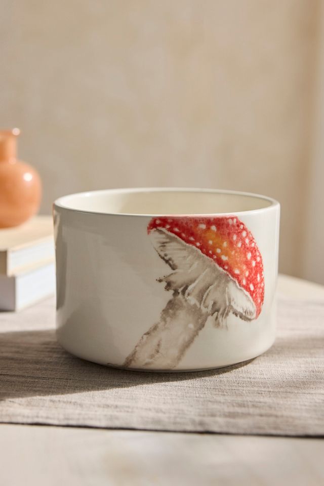 Italian Earthenware Mushroom Cylinder Planter #1