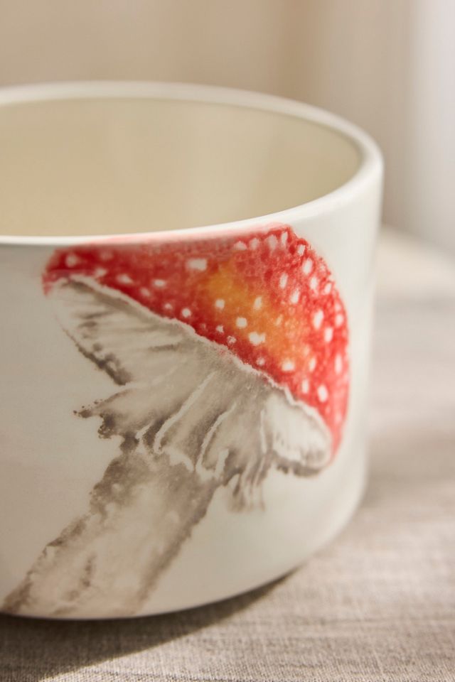 Italian Earthenware Mushroom Cylinder Planter #2