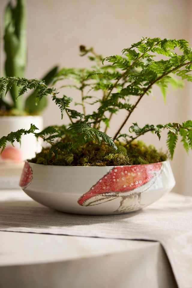 Italian Earthenware Mushroom Bowl Planter #1
