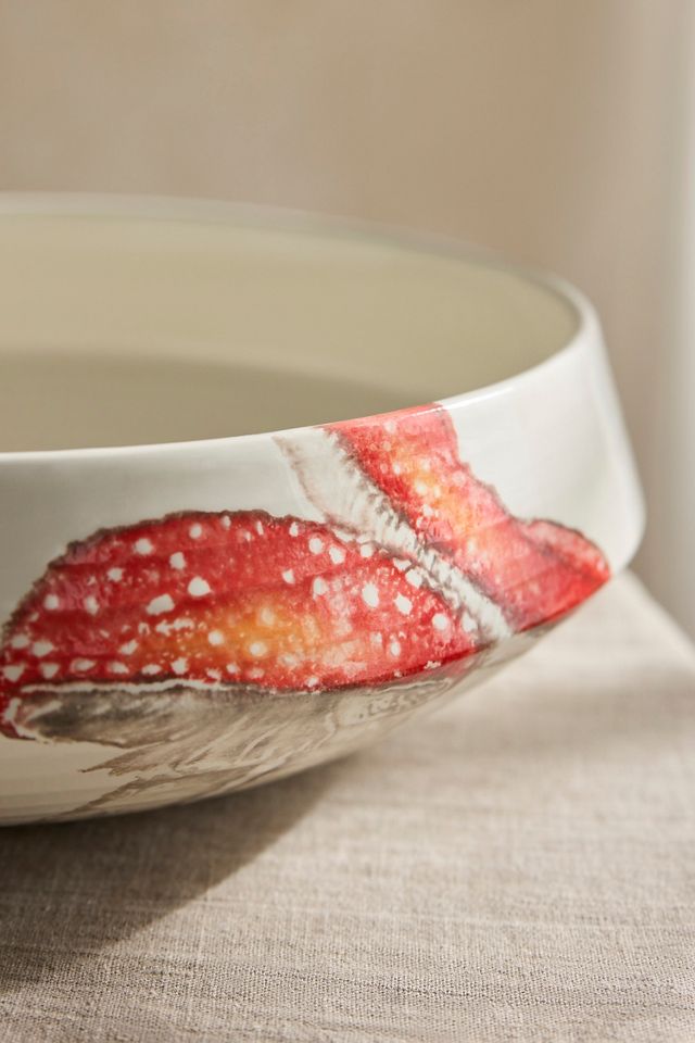 Italian Earthenware Mushroom Bowl Planter #3
