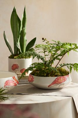 Italian Earthenware Mushroom Bowl Planter