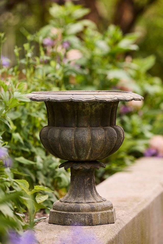 Cast Iron Poppy Urn #2