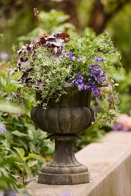 Cast Iron Poppy Urn