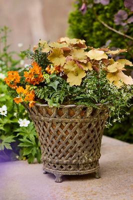 Cast Iron Lattice Basket Planter