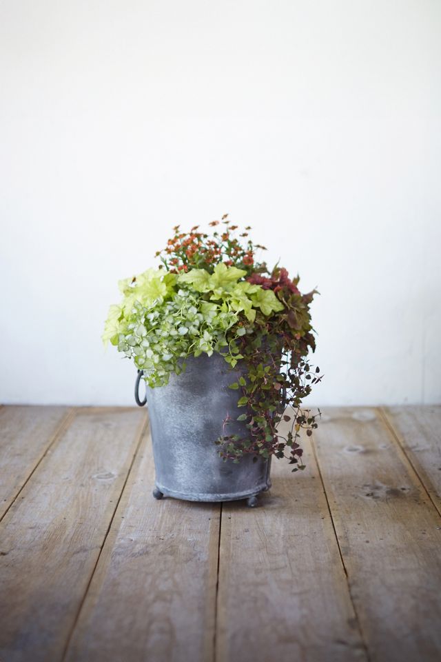 Galvanized Ring Handle Planter, 17" #1