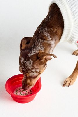 The Bistro Tile Holiday Pet Bowl