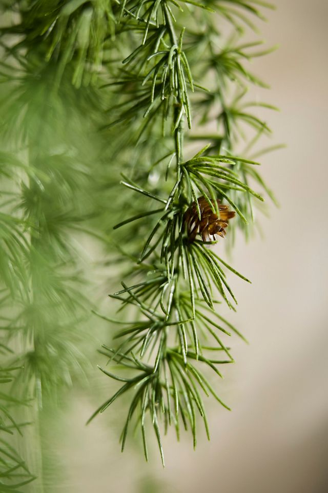 Faux Cascading Larch Garland, 72” #1