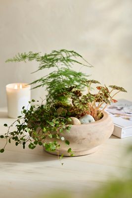 Terracotta Round Shoulder Bowl Planter
