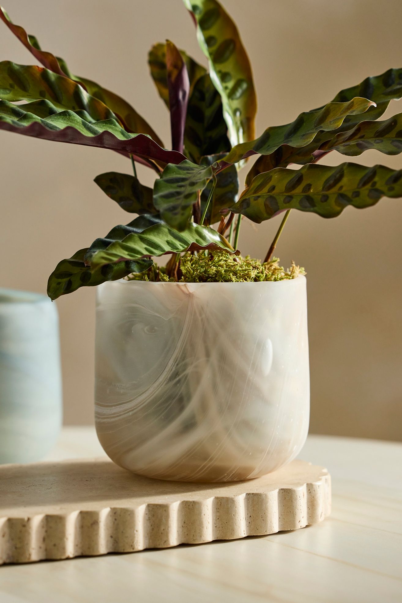 Marbled Glass Planter - Pink, 5"