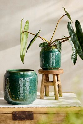Juno Glazed Earthenware Planter