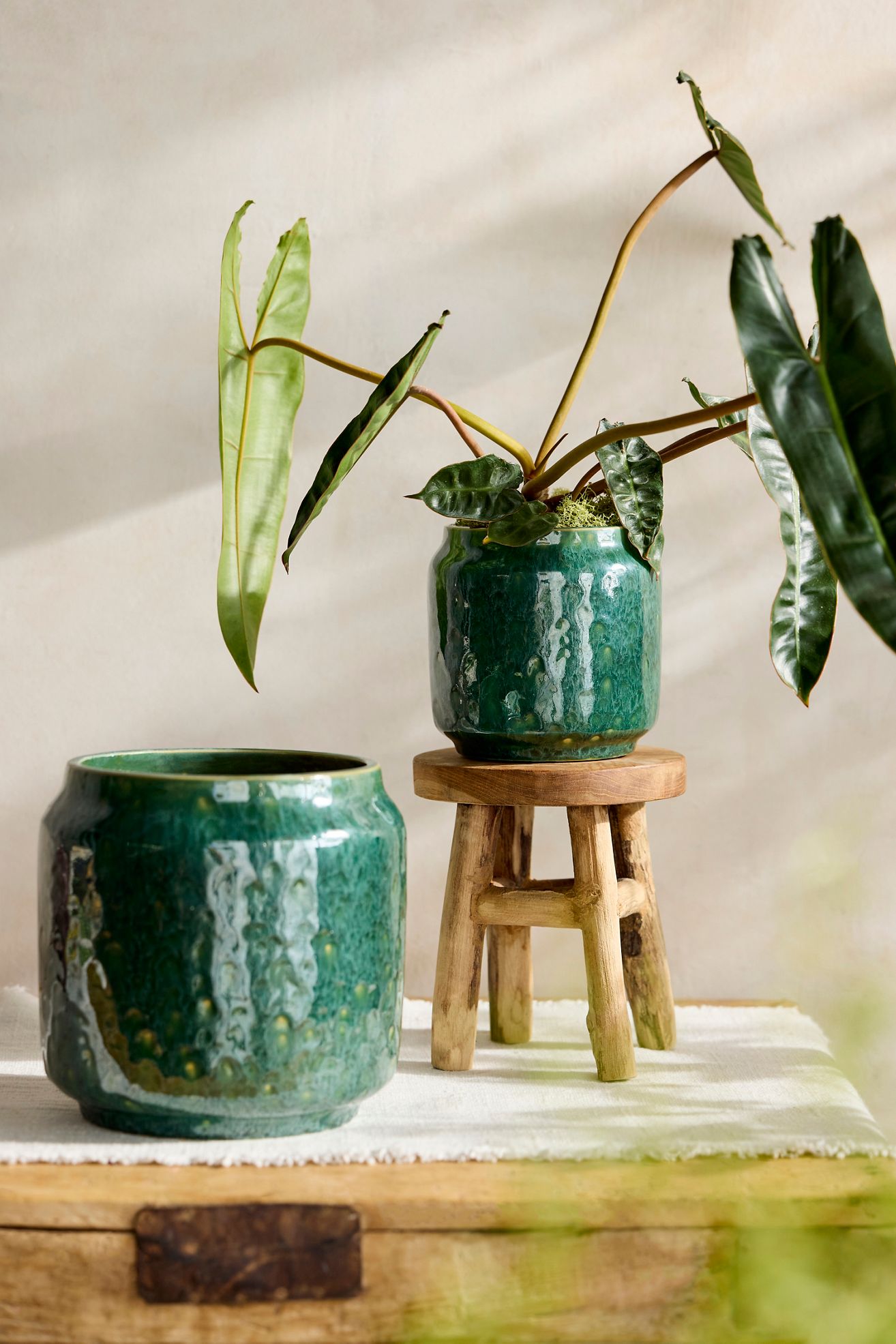 Juno Glazed Earthenware Planter - Green, 7"