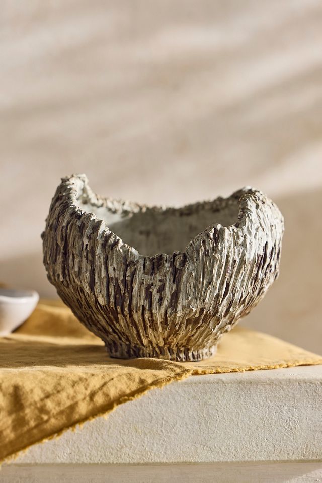 Lichen Earthenware Bowl Planter #1
