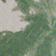 Green Pattern