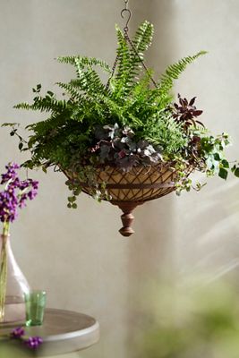 Wide Bowl Wire Hanging Planter