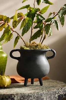 Spooky Cauldron Planter, Small