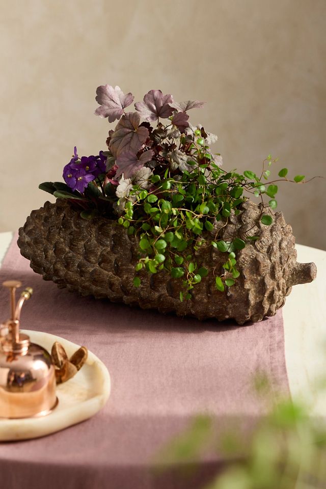 Concrete Pinecone Planter, Oblong #3