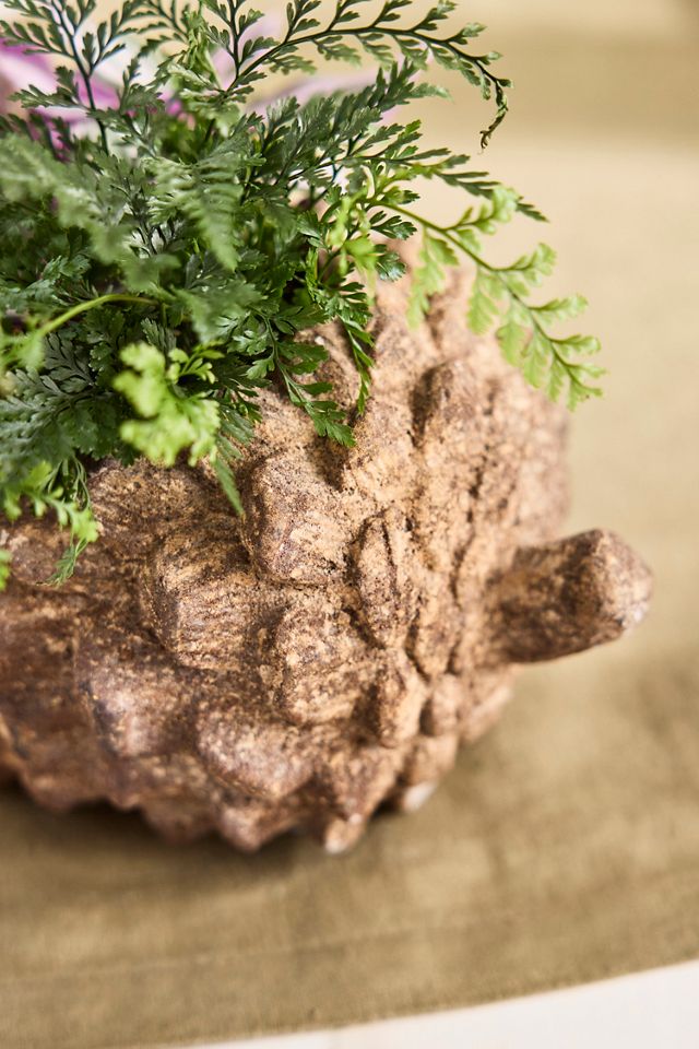 Concrete Pinecone Planter, Oblong #1