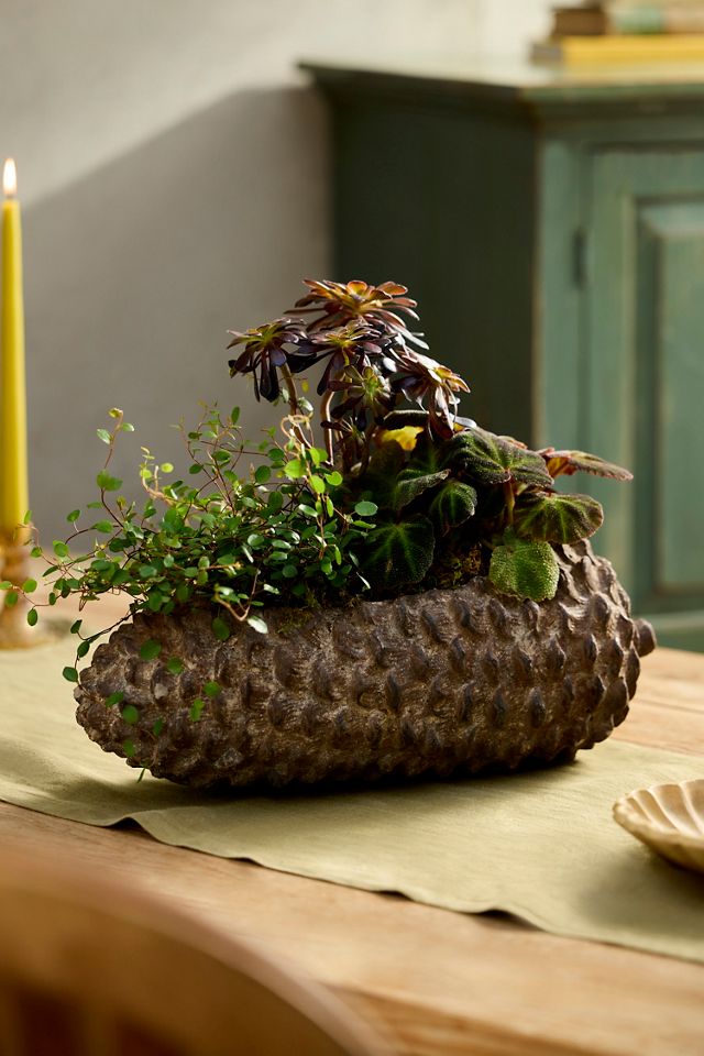 Concrete Pinecone Planter, Oblong #4