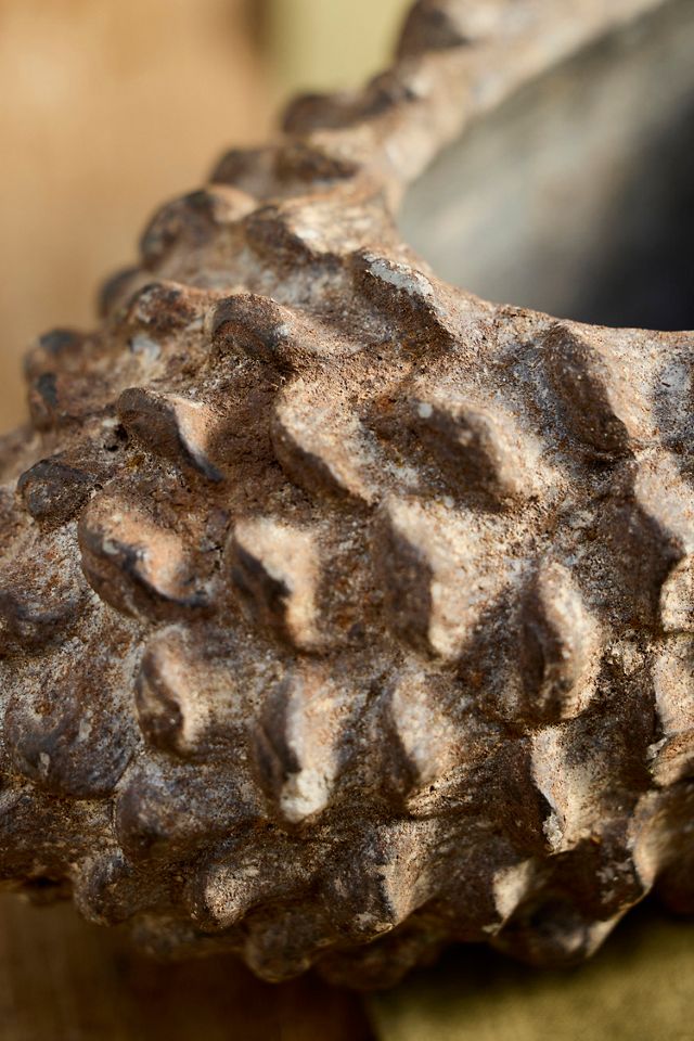 Concrete Pinecone Planter, Oblong #6