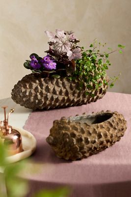 Concrete Pinecone Planter, Oblong