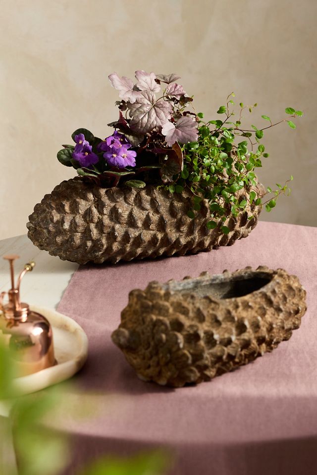 Concrete Pinecone Planter, Oblong #7