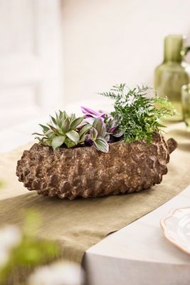 Concrete Pinecone Planter, Oblong