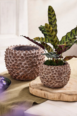 Terrain Concrete Pinecone Planter, Round