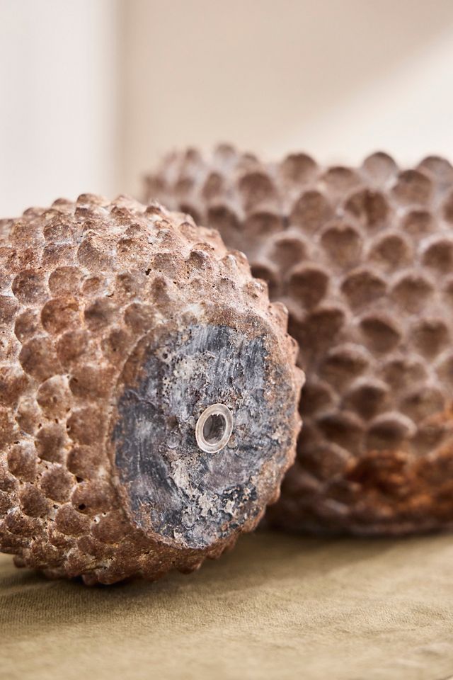 Concrete Pinecone Planter, Round #2