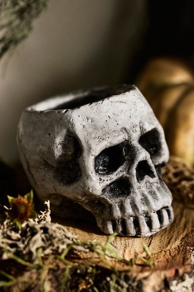 Concrete Skull Planter #1