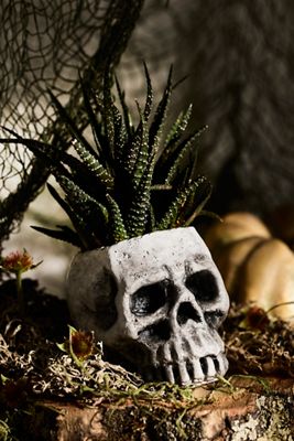 Concrete Skull Planter