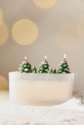 Anthropologie Woody Fresh Balsam & Cedarwood Christmas Forest Glass Candle In Green