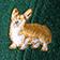 Corgi Dark Green