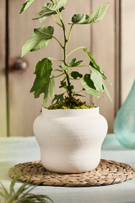 Terrain Round Shoulder Ceramic Jar Planter In White