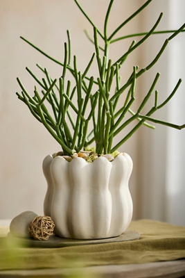 Terrain Cinched Ruffles Ceramic Planter