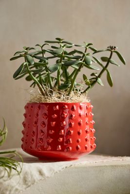 Hobnail Stoneware Planter