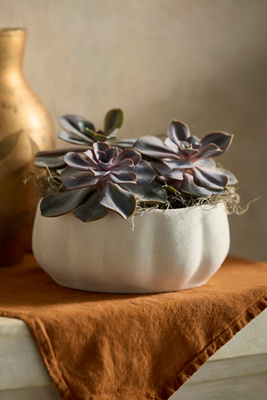 Terrain Pumpkin Stoneware Bowl Planter