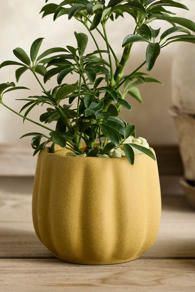Pumpkin Stoneware Planter #1