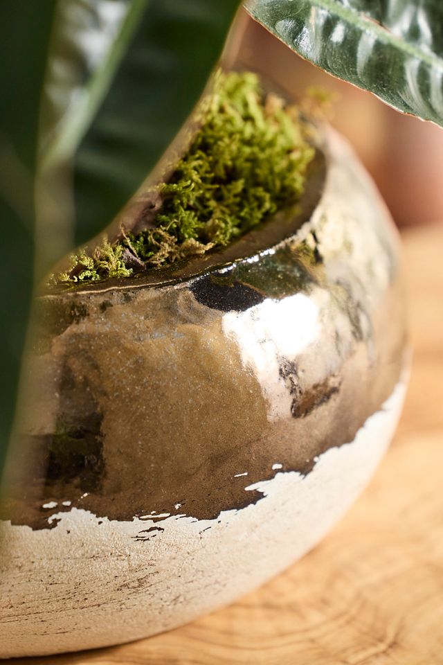 Metallic Colorblock Ceramic Bowl Planter #2