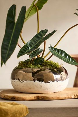 Metallic Colorblock Ceramic Bowl Planter