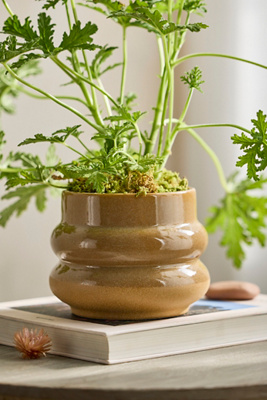 Terrain Stacked Rings Ceramic Planter