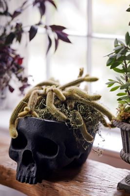 Fiber Stone Skull Planter