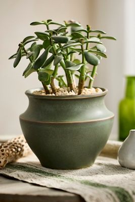 Tapered Jar Ceramic Planter