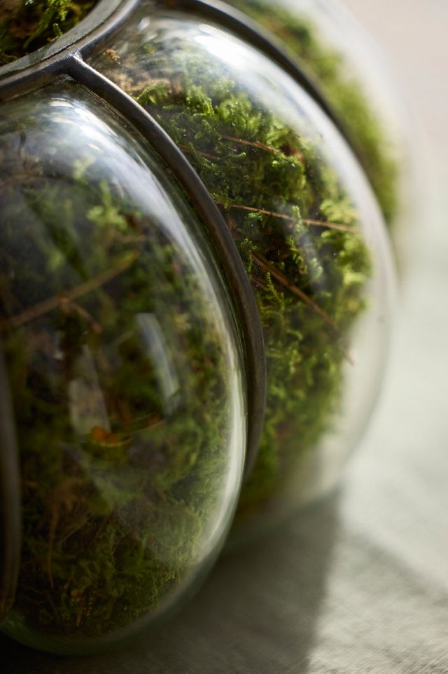 Iron + Glass Bubble Cylinder Vessel #1