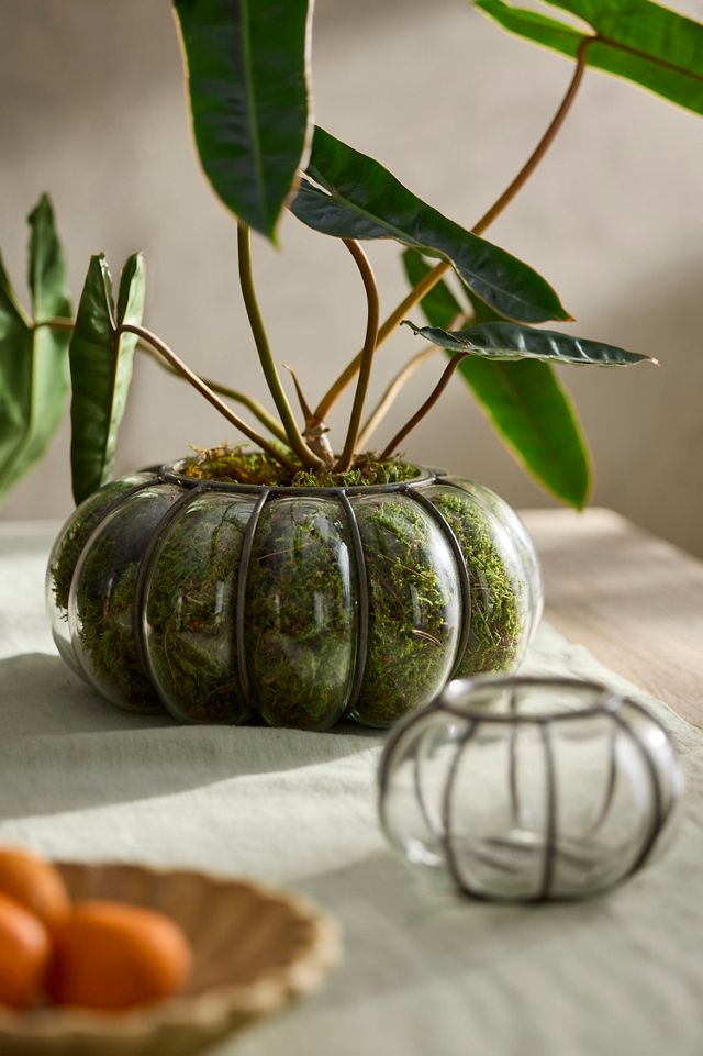 Iron + Glass Bubble Cylinder Vessel #3