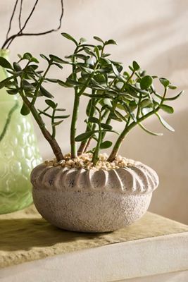 Necklace Earthenware Planter
