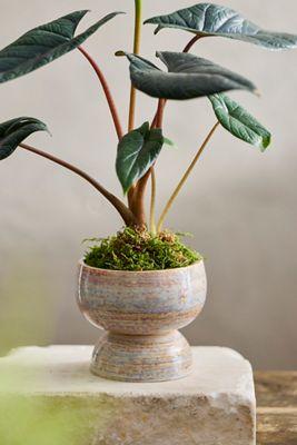 Rounded Pedestal Earthenware Urn Planter