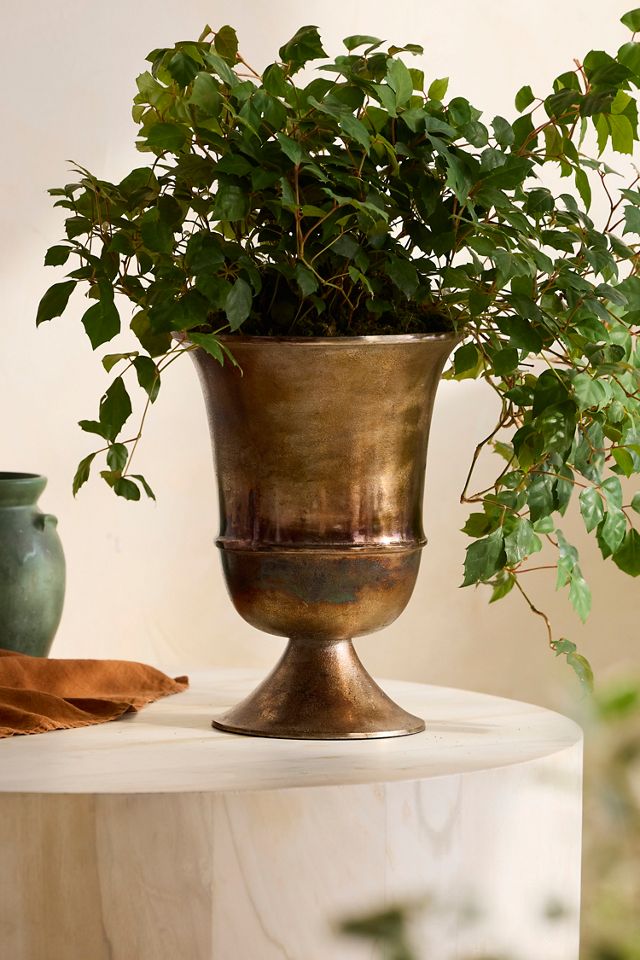 Flared Bronze Urn Planter #2