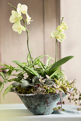 Terrain Aluminum Lotus Bowl Planter