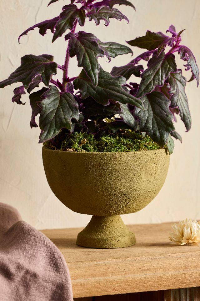 Bronzed Metal Low Urn Planter #3
